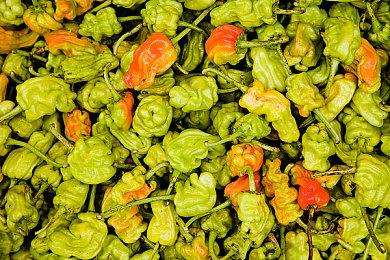 日本监管机构文件显示沙特已减持任天堂股份